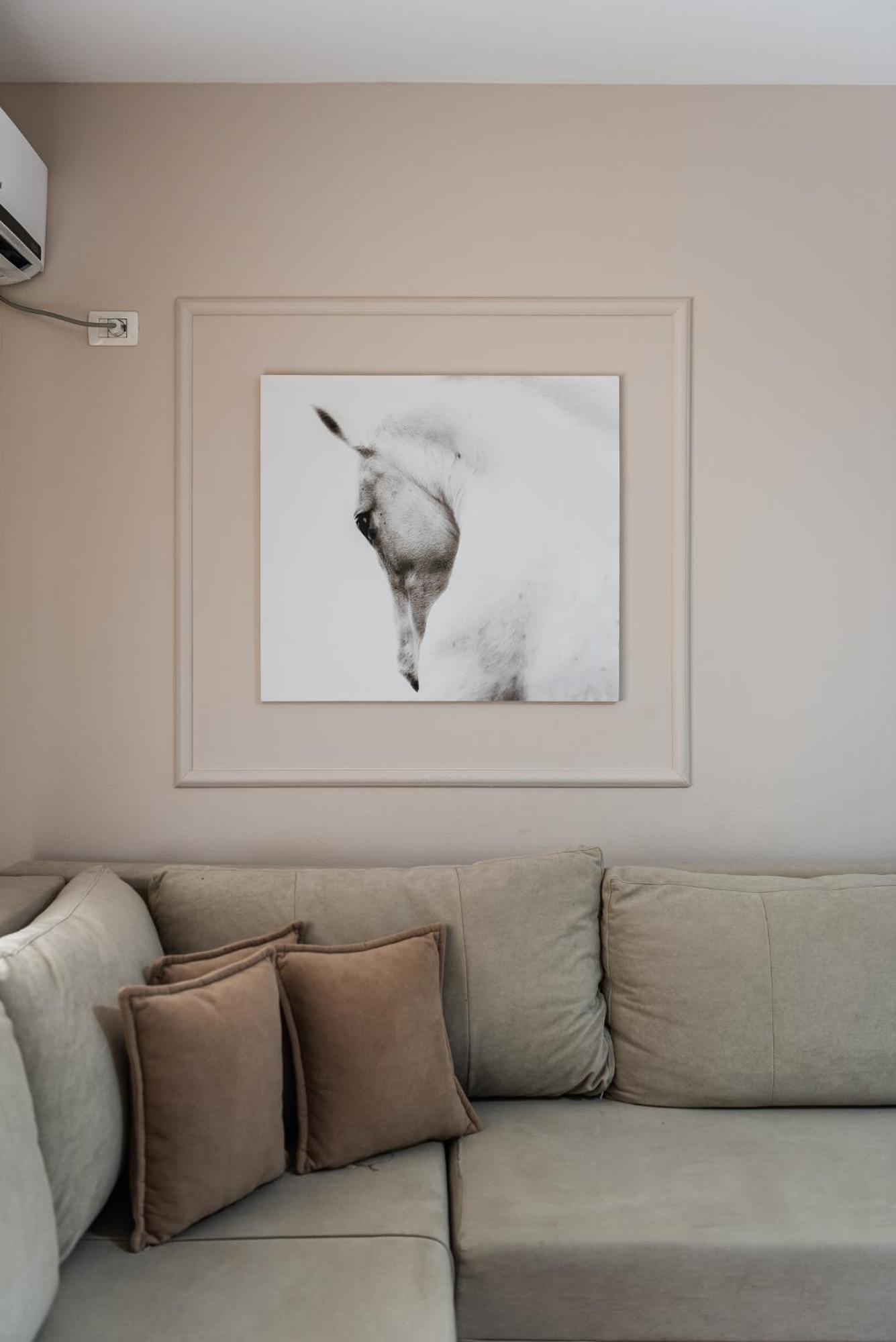 Center By Apartament *